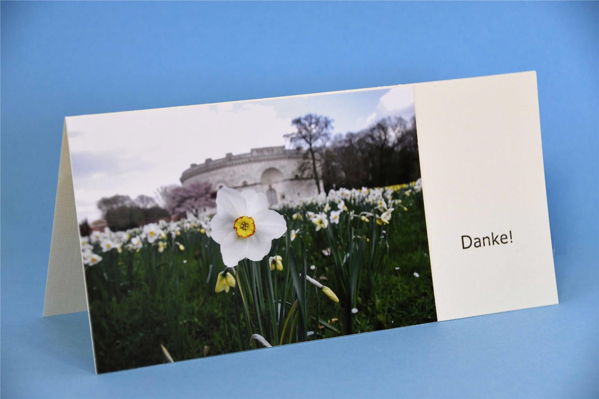 Vinzenz - 003 - Grußkarten_OBA_neu_05_INT